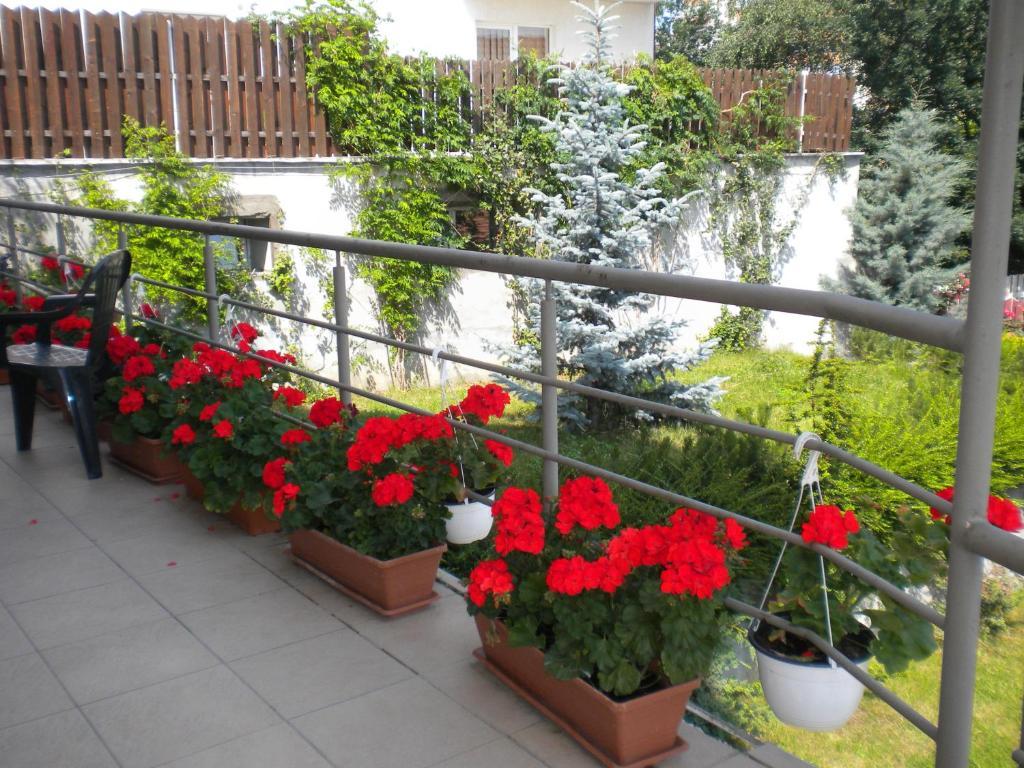 Pension Cluj Екстериор снимка